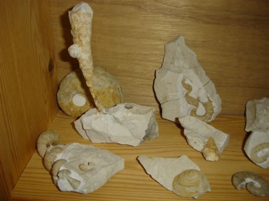 42.JPG 42.JPG