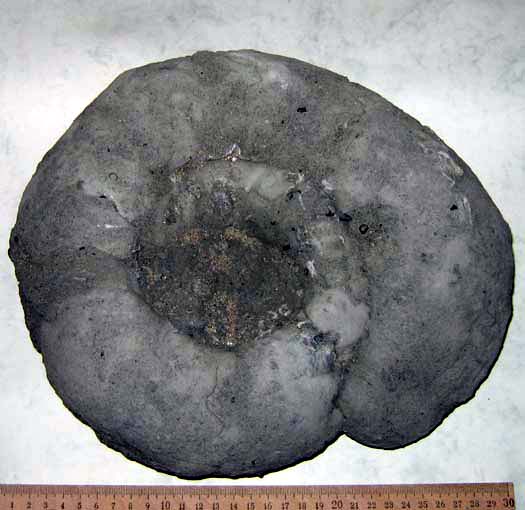 12EinGeschenk.jpg 12EinGeschenk.jpg