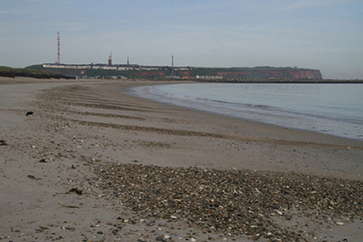 03_strandgeroell_auf_der_duene.jpg 03_strandgeroell_auf_der_duene.jpg
