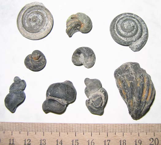 10escalles.jpg 10escalles.jpg