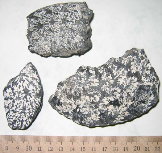 16_escalles.jpg 16_escalles.jpg