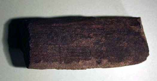 Calamites1.JPG Calamites1.JPG