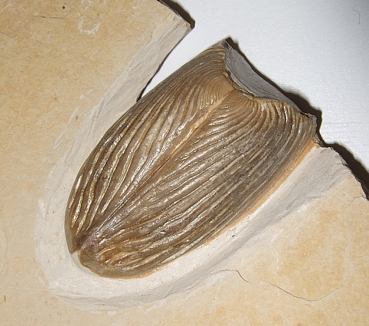 Bild15.jpg Bild15.jpg