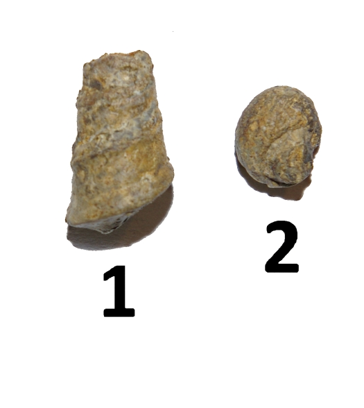 15.jpg 15.jpg