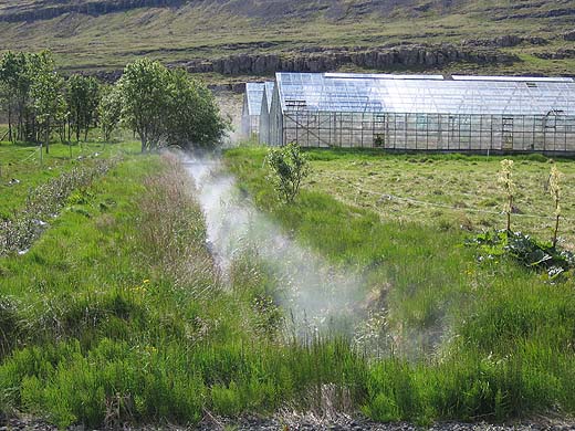 Island_geothermal_gewaechshausb.jpg Island_geothermal_gewaechshausb.jpg