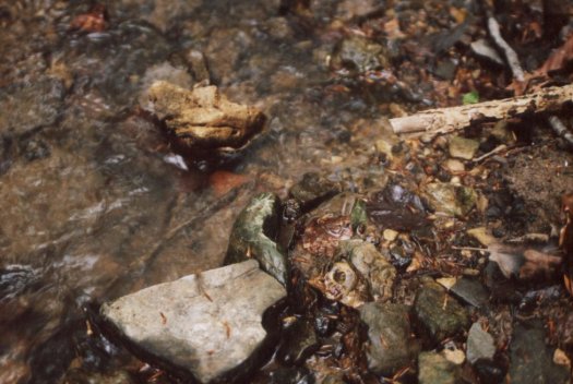 19947.jpg 19947.jpg