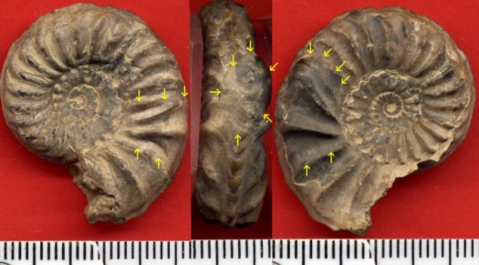 380.jpg 380.jpg