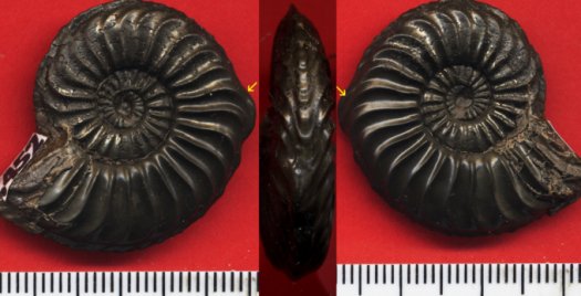 452.jpg 452.jpg