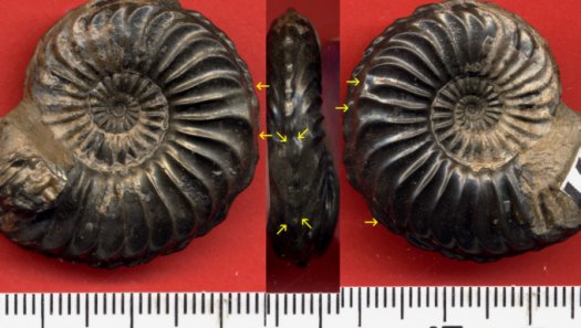 471.jpg 471.jpg