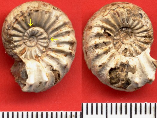 484.jpg 484.jpg