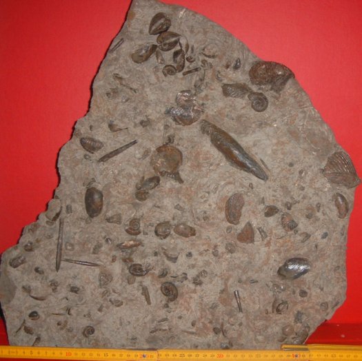 1435.jpg 1435.jpg