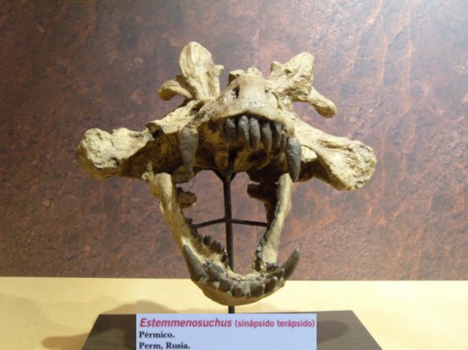 Sauriermuseum_Asturien.5.07_018.jpg Sauriermuseum_Asturien.5.07_018.jpg