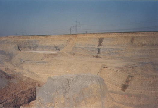 1_flexousus_zone1_001.jpg 1_flexousus_zone1_001.jpg
