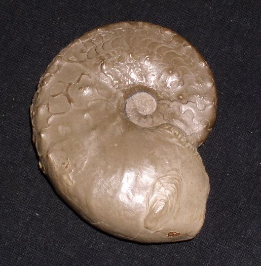 1_flexousus_zone_005.jpg 1_flexousus_zone_005.jpg