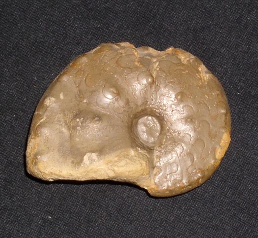 1_flexousus_zone_006.jpg 1_flexousus_zone_006.jpg