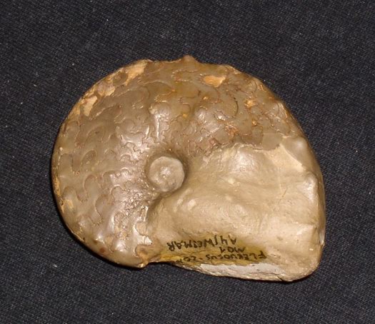 1_flexousus_zone_007.jpg 1_flexousus_zone_007.jpg