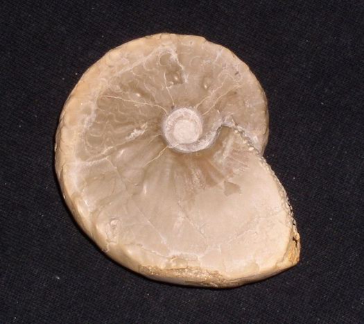 1_flexousus_zone_008.jpg 1_flexousus_zone_008.jpg