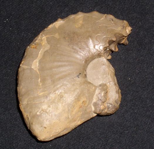 1_flexousus_zone_010.jpg 1_flexousus_zone_010.jpg