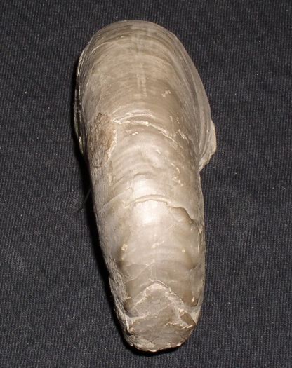 1_flexousus_zone_013.jpg 1_flexousus_zone_013.jpg