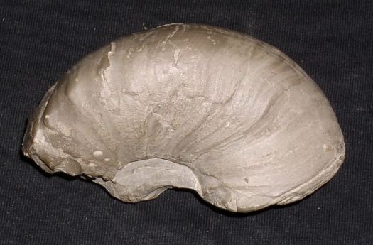 1_flexousus_zone_015.jpg 1_flexousus_zone_015.jpg