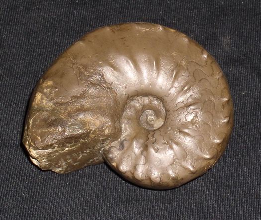 1_flexousus_zone_025.jpg 1_flexousus_zone_025.jpg