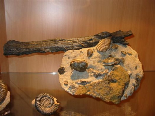 sammlung_schuster_kinding_03__Small_.jpg sammlung_schuster_kinding_03__Small_.jpg