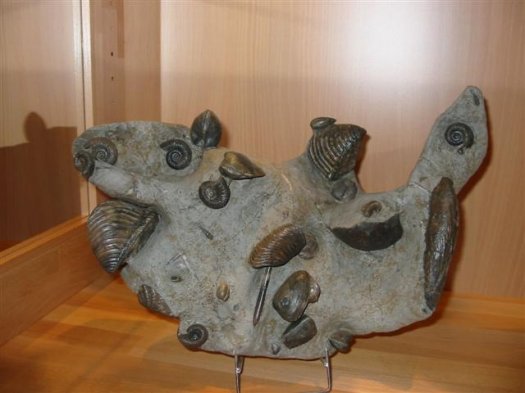 sammlung_schuster_kinding_04__Small_.jpg sammlung_schuster_kinding_04__Small_.jpg