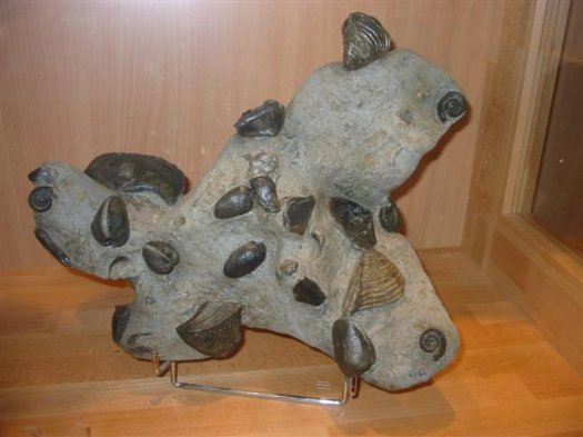 sammlung_schuster_kinding_05__Small_.jpg sammlung_schuster_kinding_05__Small_.jpg