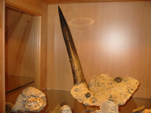sammlung_schuster_kinding_08__Small_.jpg sammlung_schuster_kinding_08__Small_.jpg