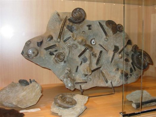 sammlung_schuster_kinding_18__Small_.jpg sammlung_schuster_kinding_18__Small_.jpg