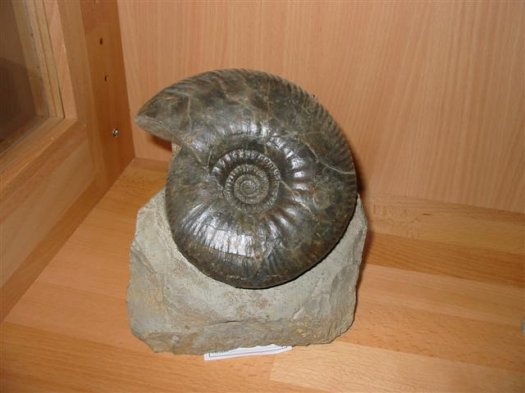 sammlung_schuster_kinding_19__Small_.jpg sammlung_schuster_kinding_19__Small_.jpg