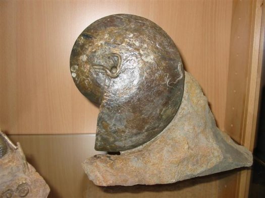 sammlung_schuster_kinding_21__Small_.jpg sammlung_schuster_kinding_21__Small_.jpg