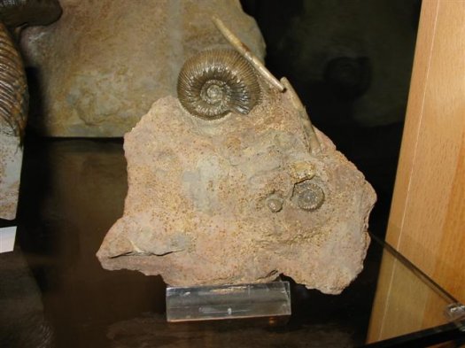 sammlung_schuster_kinding_22__Small_.jpg sammlung_schuster_kinding_22__Small_.jpg