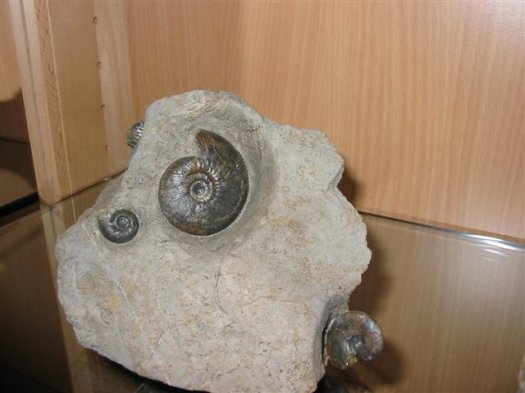 sammlung_schuster_kinding_24__Small_.jpg sammlung_schuster_kinding_24__Small_.jpg