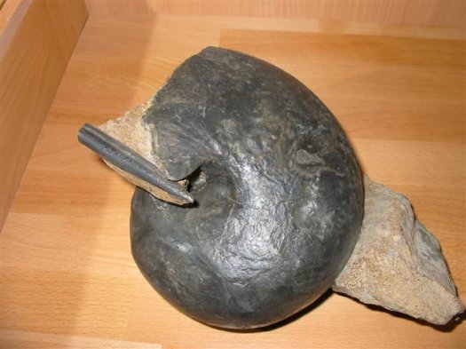 sammlung_schuster_kinding_26__Small_.jpg sammlung_schuster_kinding_26__Small_.jpg