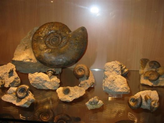 sammlung_schuster_kinding_27__Small_.jpg sammlung_schuster_kinding_27__Small_.jpg