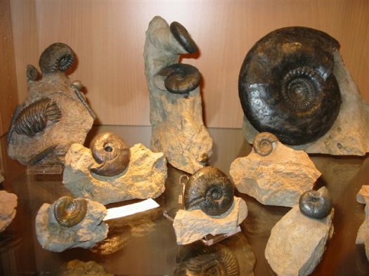 sammlung_schuster_kinding_28__Small_.jpg sammlung_schuster_kinding_28__Small_.jpg