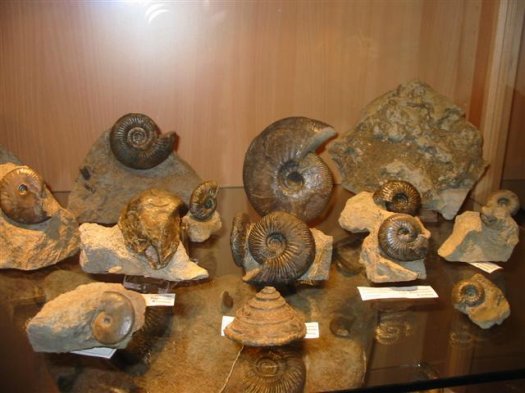 sammlung_schuster_kinding_29 (Small)_1.jpg sammlung_schuster_kinding_29 (Small)_1.jpg