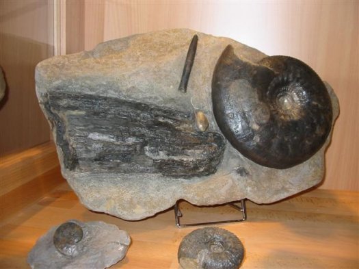 sammlung_schuster_kinding_34__Small_.jpg sammlung_schuster_kinding_34__Small_.jpg