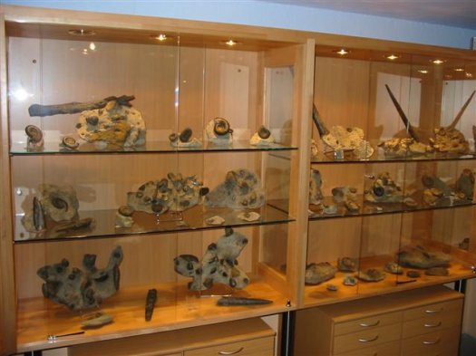 sammlung_schuster_kinding_vitrine_03.jpg sammlung_schuster_kinding_vitrine_03.jpg