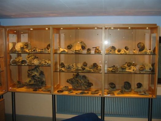 sammlung_schuster_kinding_vitrine_04.jpg sammlung_schuster_kinding_vitrine_04.jpg