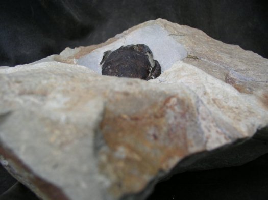 div_020.jpg div_020.jpg
