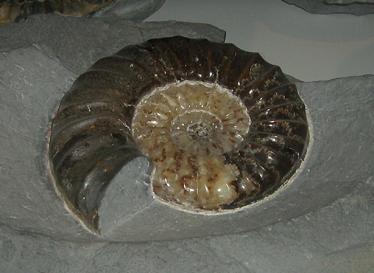 do11_02.jpg do11_02.jpg