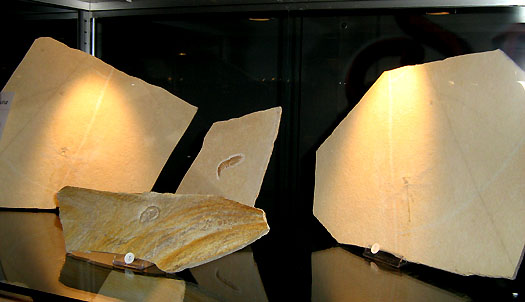 do11_11.jpg do11_11.jpg