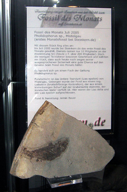 do11_17.jpg do11_17.jpg