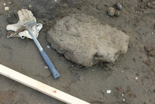 IMG_7665i_net_Bericht2_knolle_und_holz.jpg IMG_7665i_net_Bericht2_knolle_und_holz.jpg