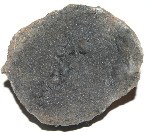 IMG_7928i_net_fossilienfalle1.jpg IMG_7928i_net_fossilienfalle1.jpg