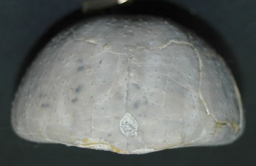 hinterende_628_1.jpg hinterende_628_1.jpg