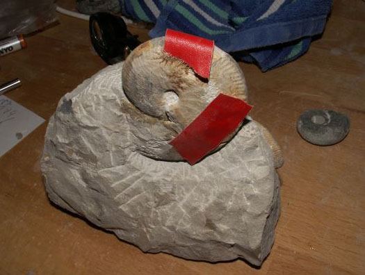 Bild3.jpg Bild3.jpg