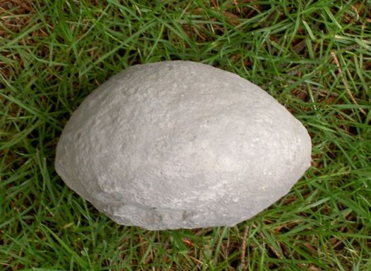 Green_nodule.jpg Green_nodule.jpg